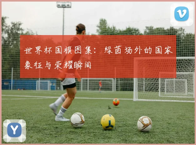 世界杯国旗图集：绿茵场外的国家象征与荣耀瞬间
