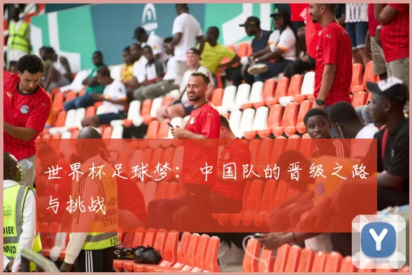 世界杯足球梦：中国队的晋级之路与挑战