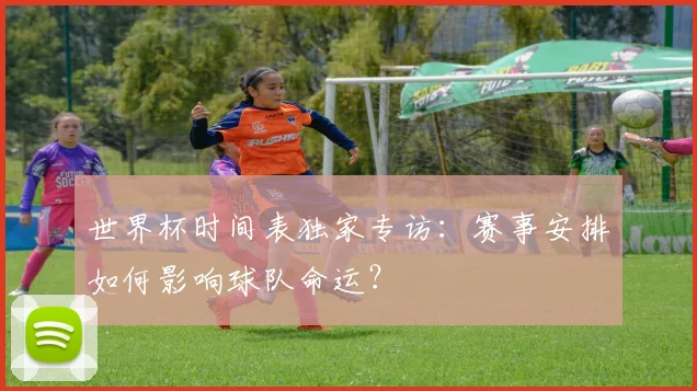 世界杯时间表独家专访：赛事安排如何影响球队命运？