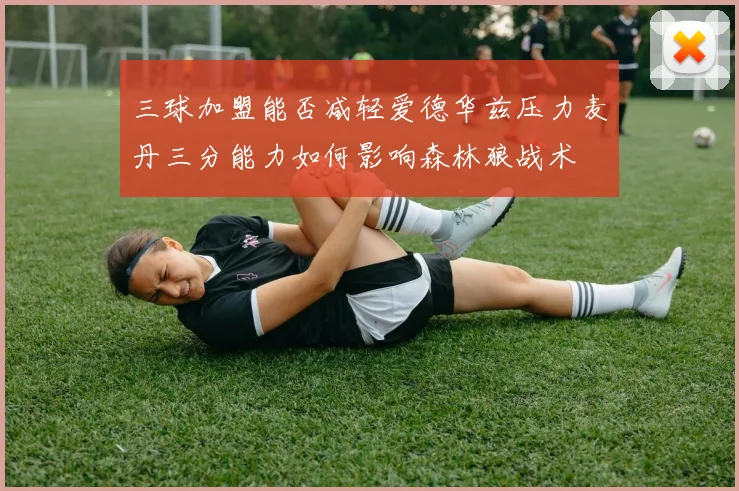 三球加盟能否减轻爱德华兹压力麦丹三分能力如何影响森林狼战术