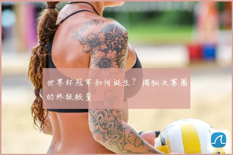 世界杯冠军如何诞生？揭秘决赛圈的终极较量