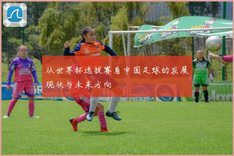 从世界杯选拔赛看中国足球的发展现状与未来方向