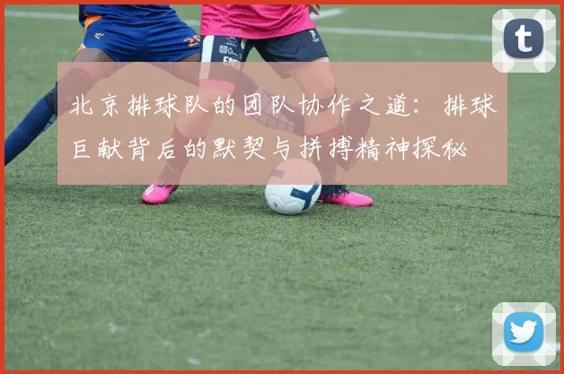 北京排球队的团队协作之道：排球巨献背后的默契与拼搏精神探秘